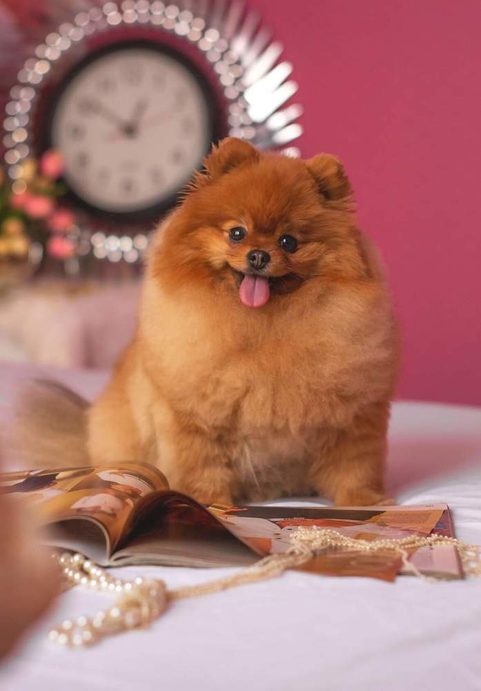 Photograph by Оксана Батракова