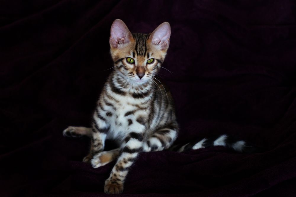 Photograph by Екатерина Слесарева