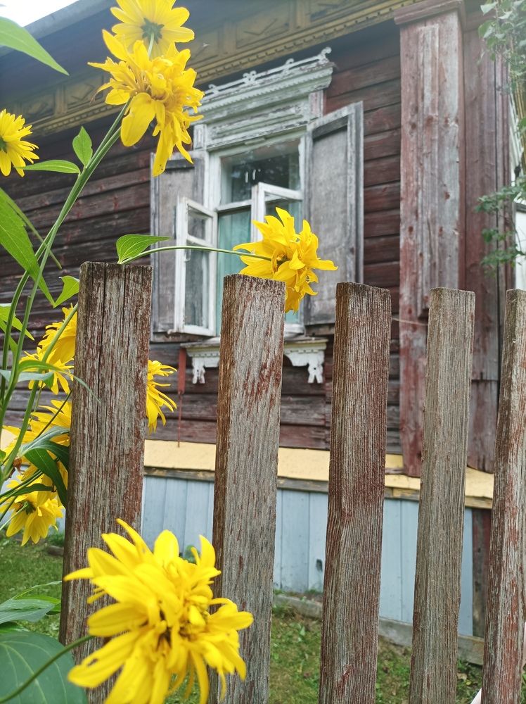 Photograph by Марина