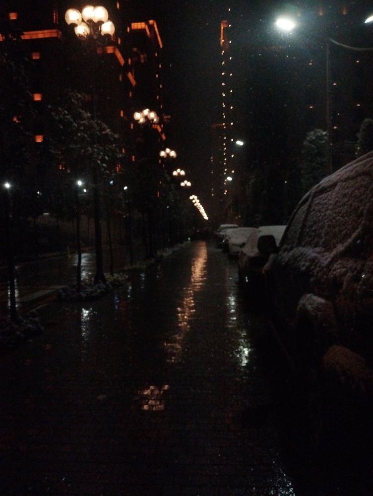 Photo #10361364