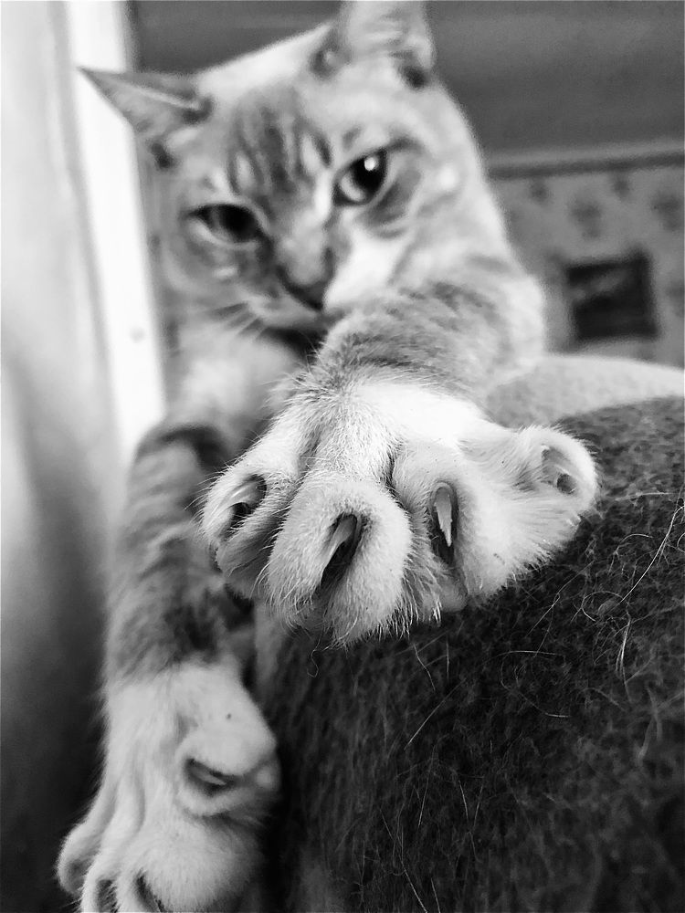 Photograph by Елена Федорова