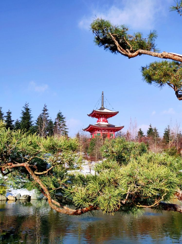 Photograph by Надежда Батракова