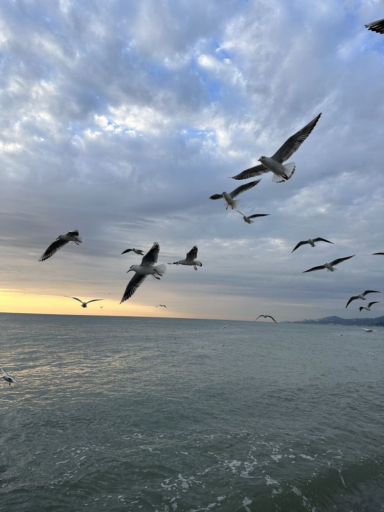 Photograph by Татьяна Веселова
