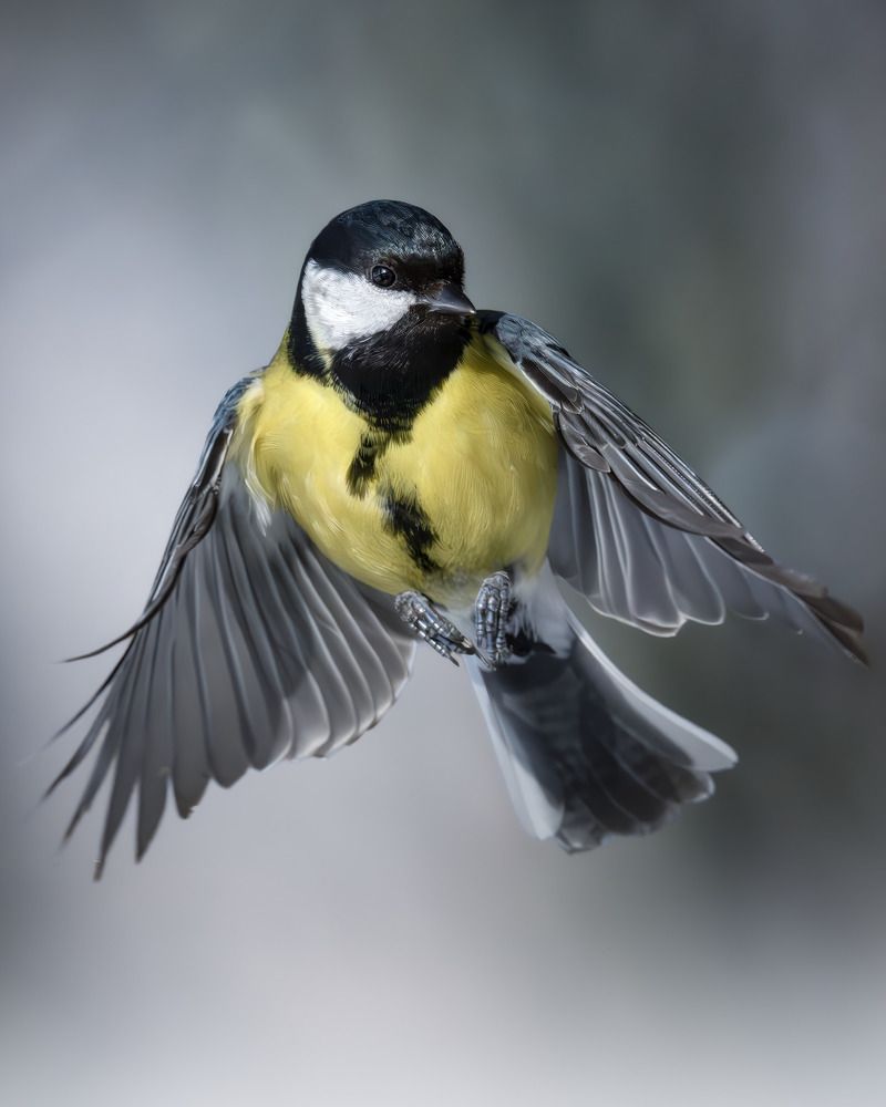 Photograph by Поляков Михаил