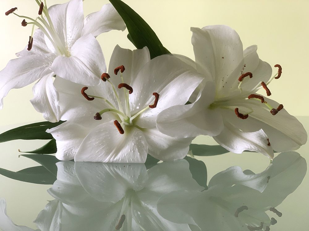 Photograph by Liliana Grup