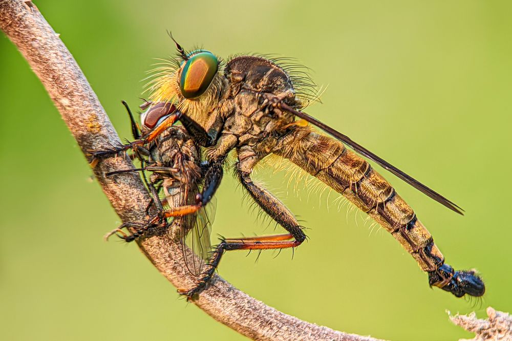 Photograph by Utpal Roy