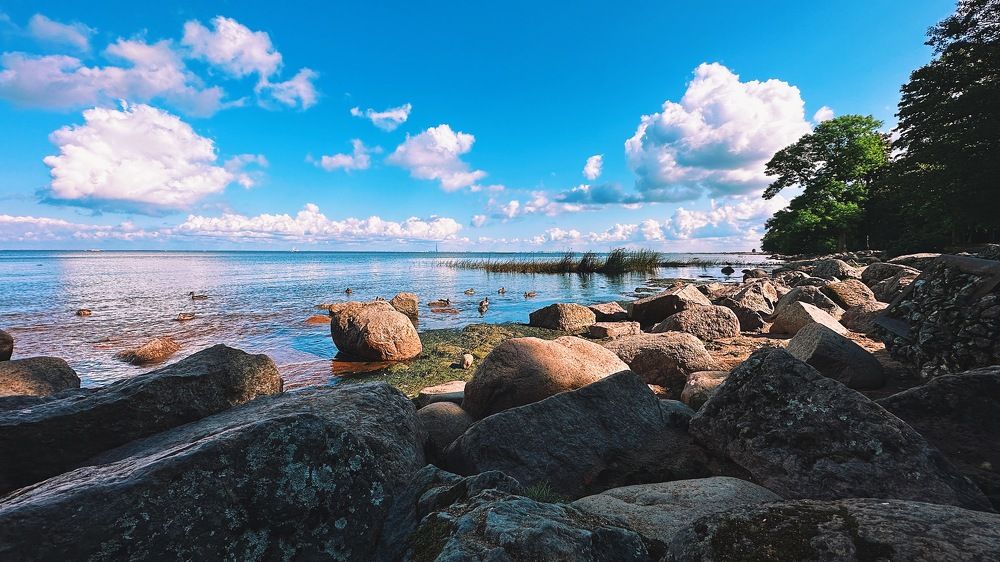 Photograph by  Ирина