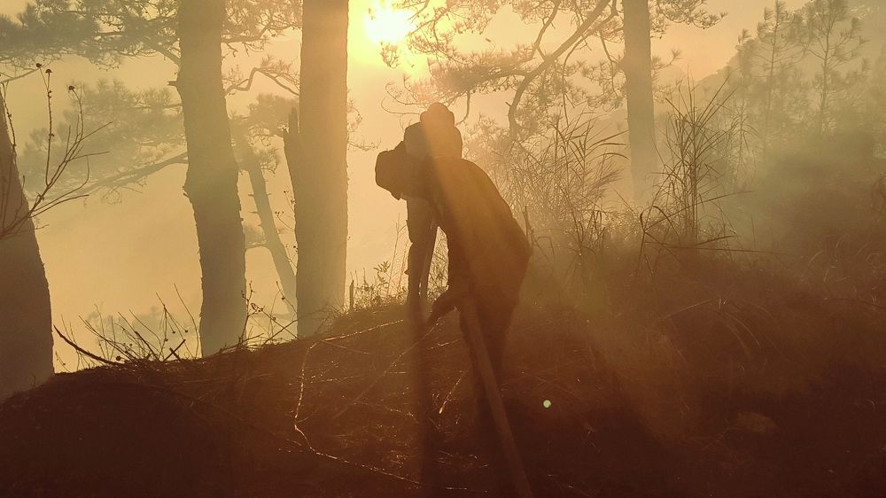 Photograph by Vanessa Carantes