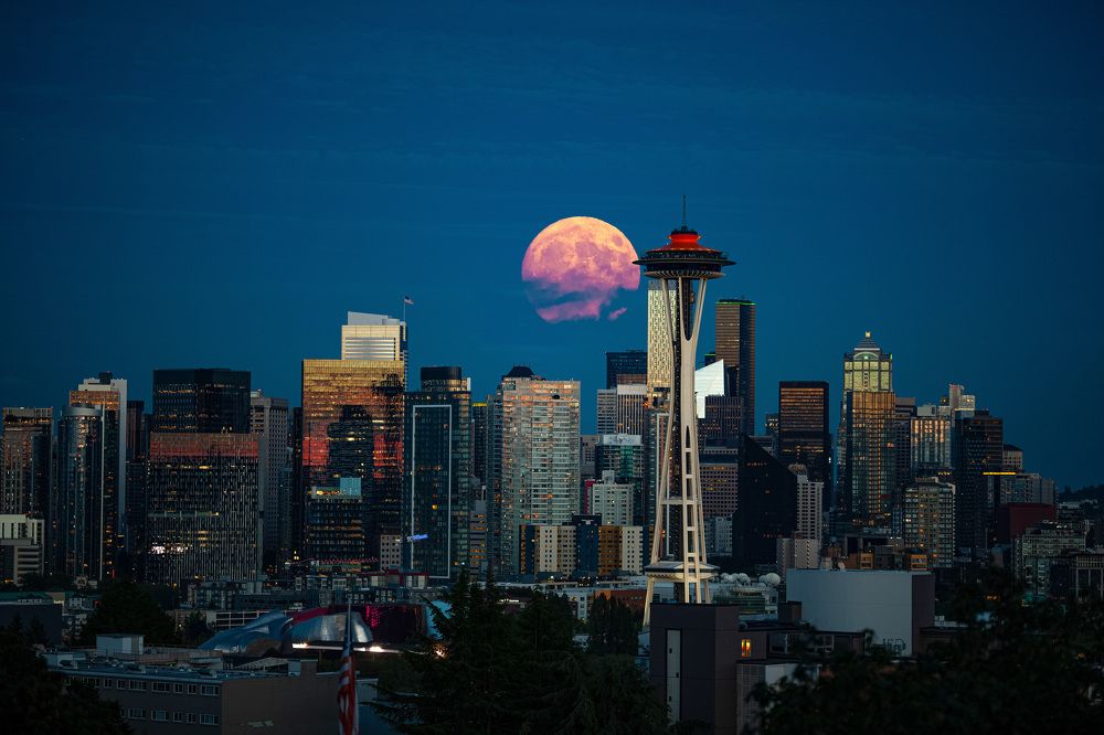 Фотография автора PIROUZ MOSHAVASH