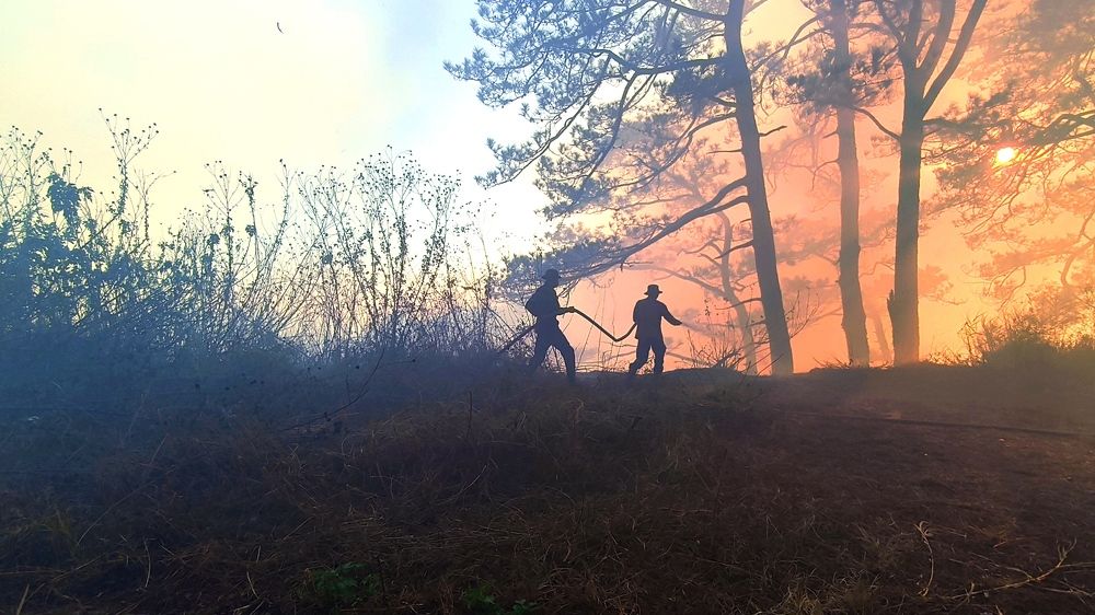 Photograph by Vanessa Carantes