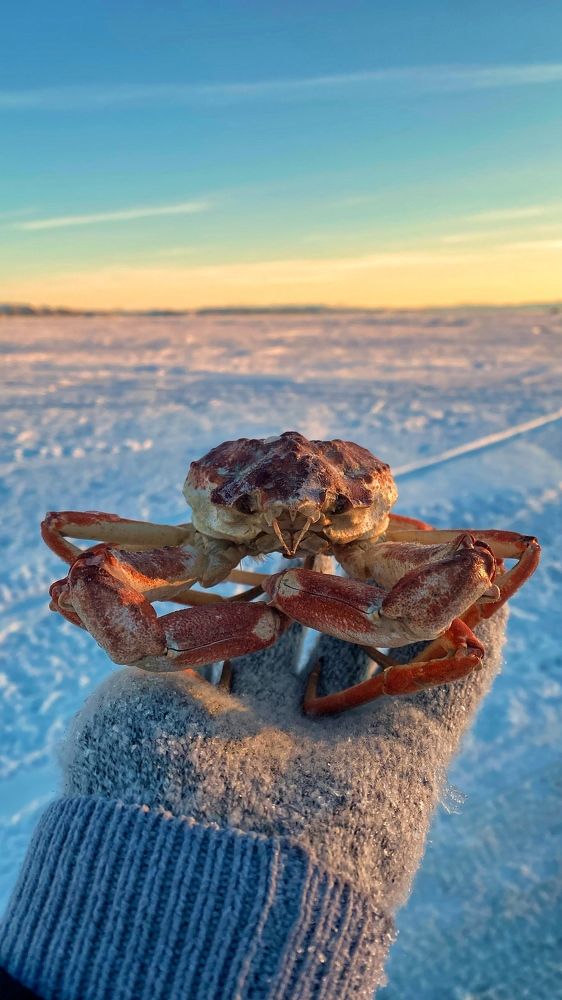 Photograph by Анна Дудко