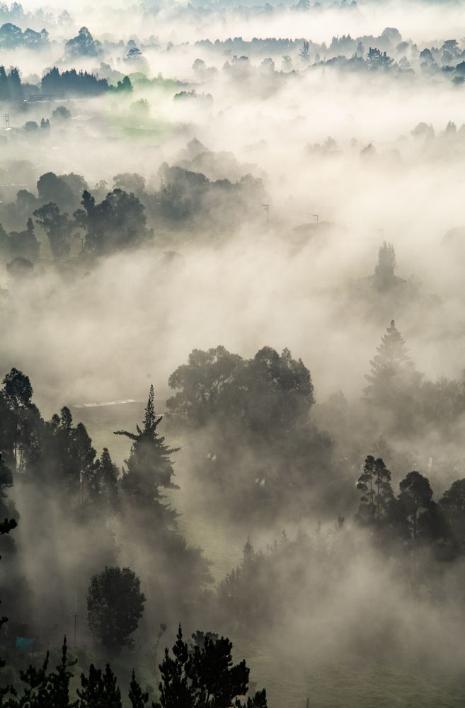 Photograph by Mario Pedraza