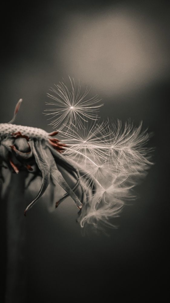 Photograph by Valeria Stepanova