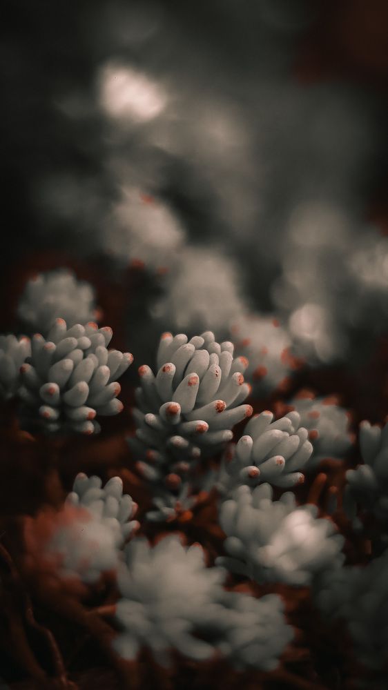 Photograph by Valeria Stepanova