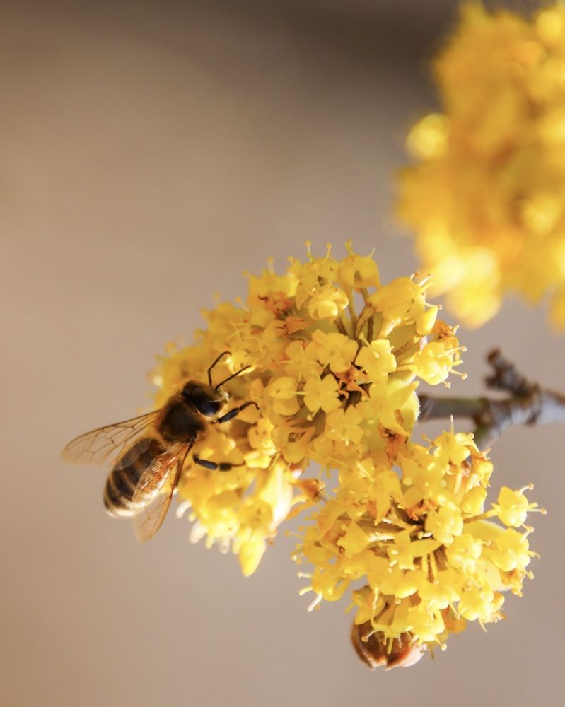 Photograph by Valeria Stepanova