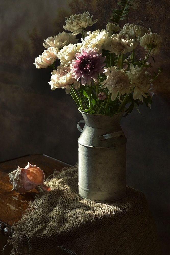 Фотография автора лилия беланова