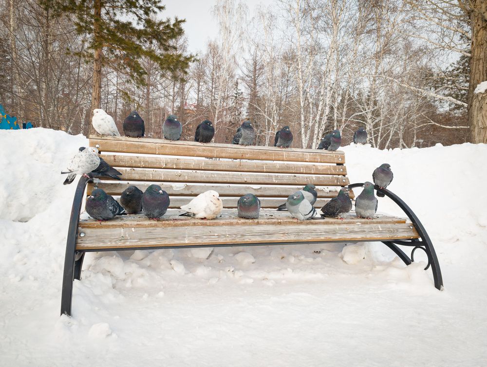 Photograph by Сергей Захаров