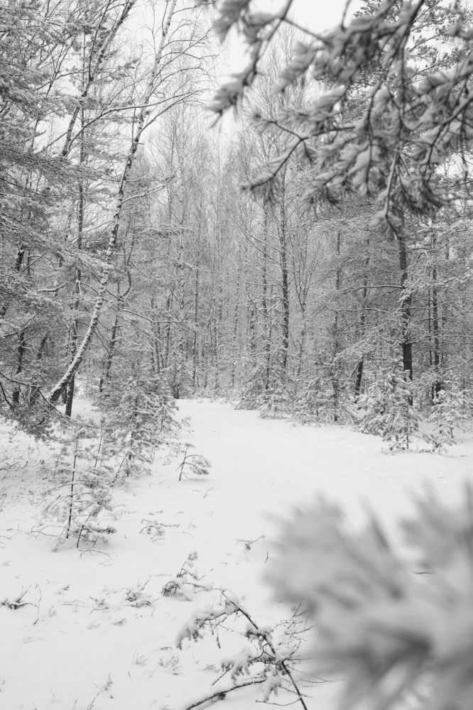 Фотография автора Колосова Елена