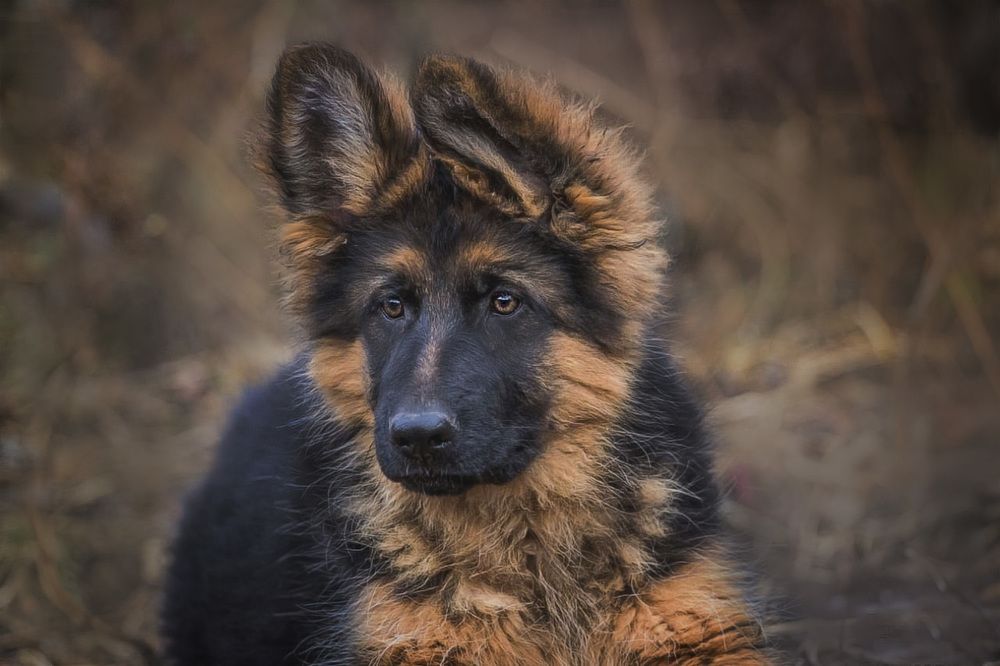 Photograph by Евгения Барановская