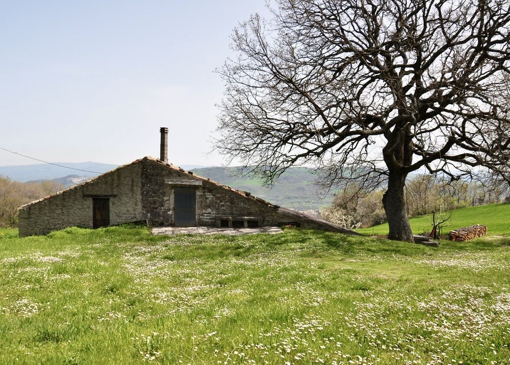 Photograph by Sandra Bruttomesso