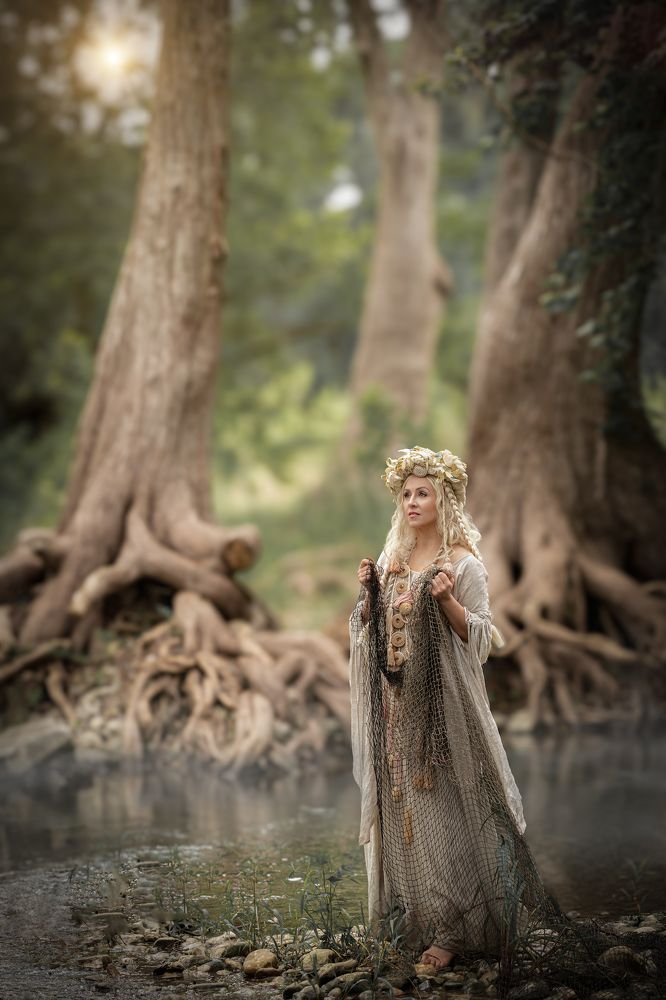 Утро в кипарисовом лесу.