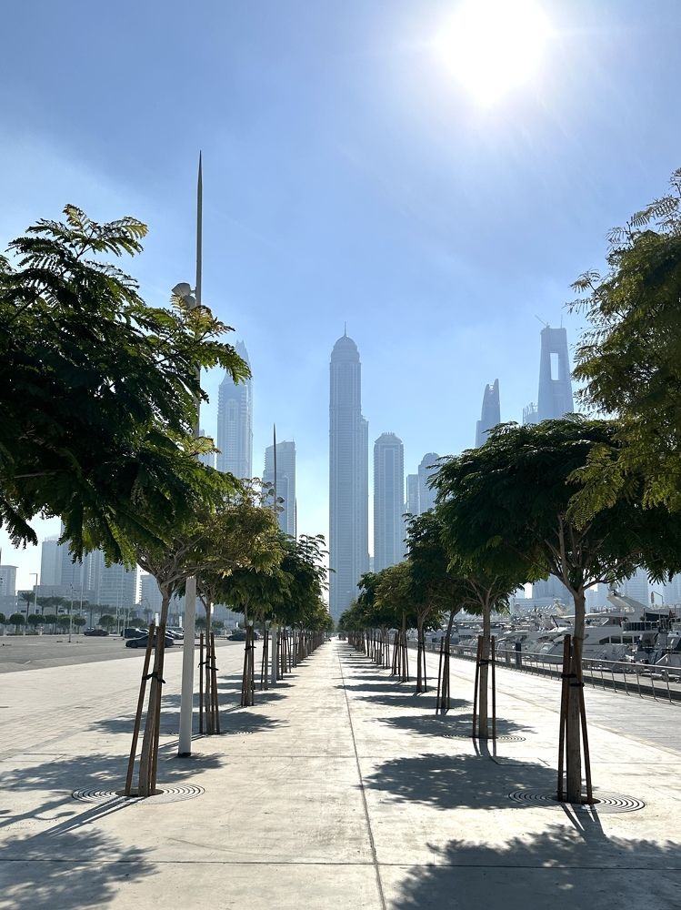 Photograph by Irina Kolotova