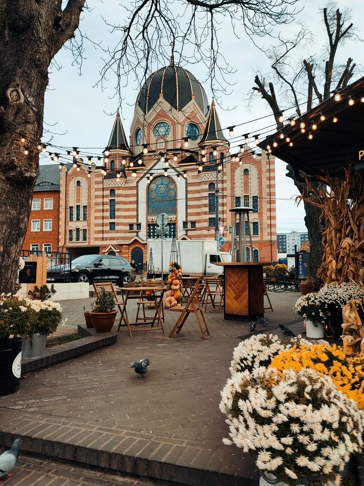 Photograph by Dana Leya Gordon