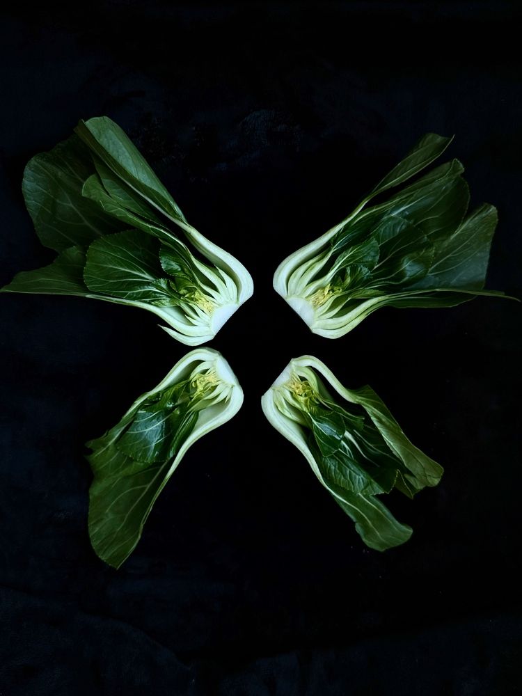 Photograph by Irina Kolotova