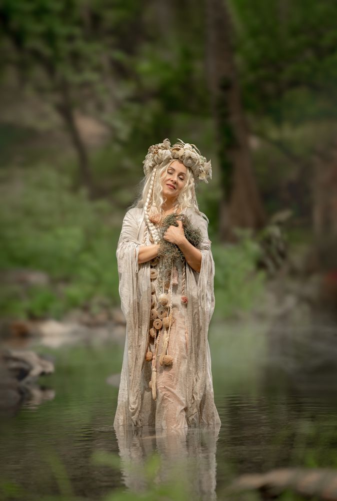 Утро в кипарисовом лесу