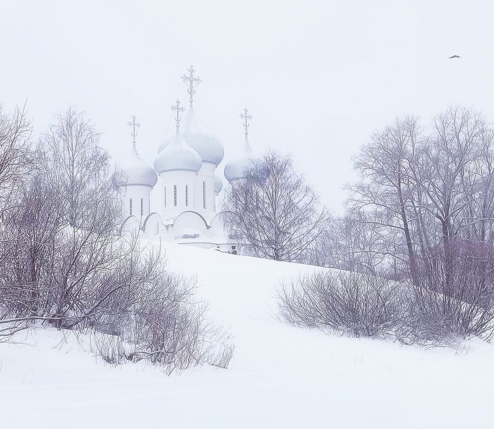 Photograph by Ольга Осовская