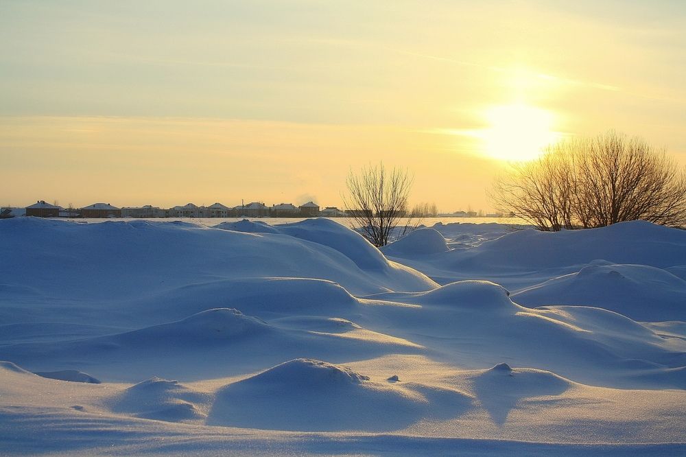 Природа под снегом