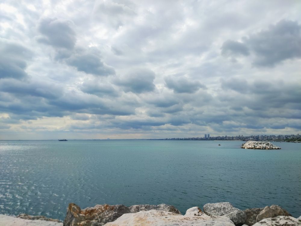 Photograph by Dana Leya Gordon