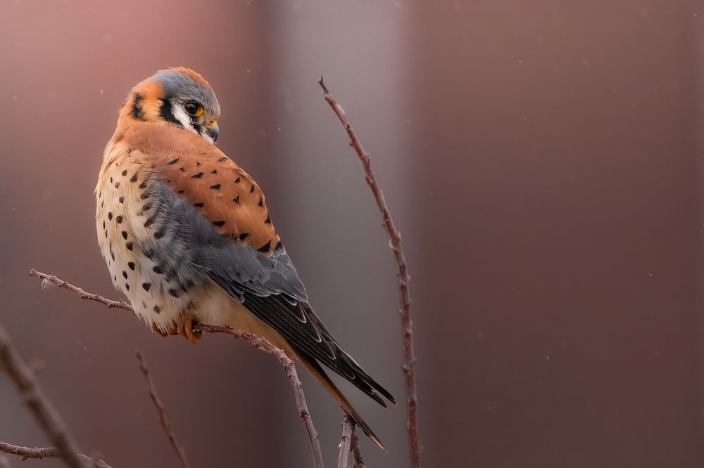 Photograph by Victoria Harris