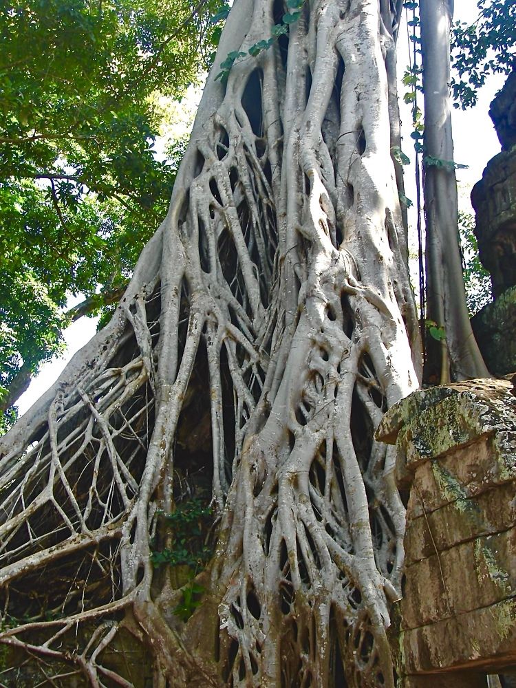 Фотография автора Gala Timaeva