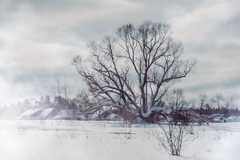 Photograph by Елена Ефимова