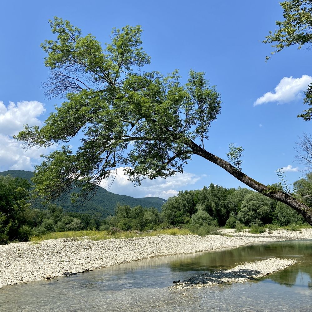 Photograph by Александр Шеин