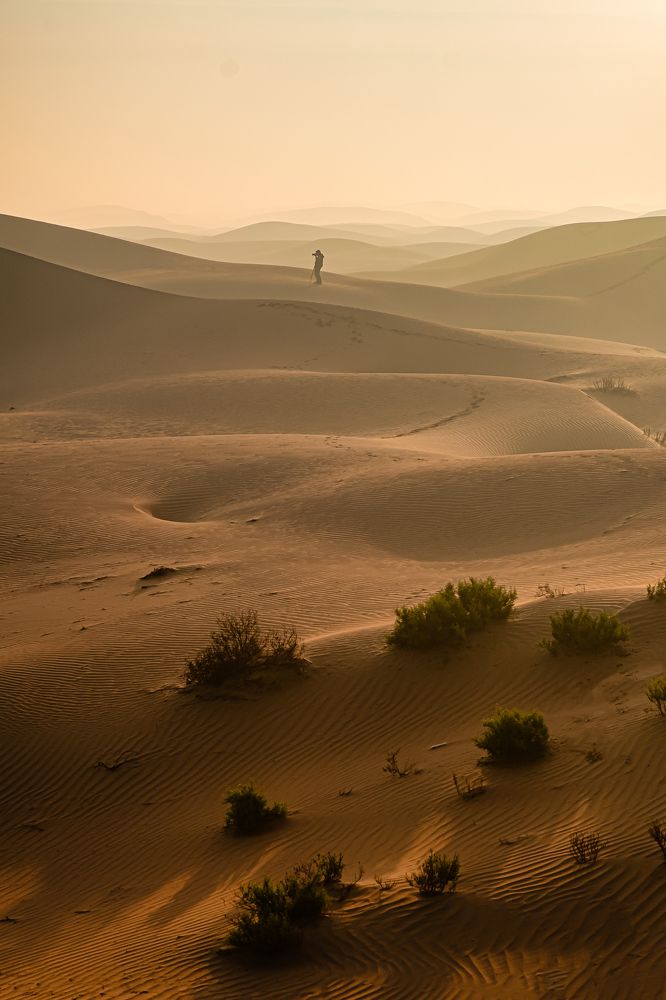 Changing hues of a foggy morning