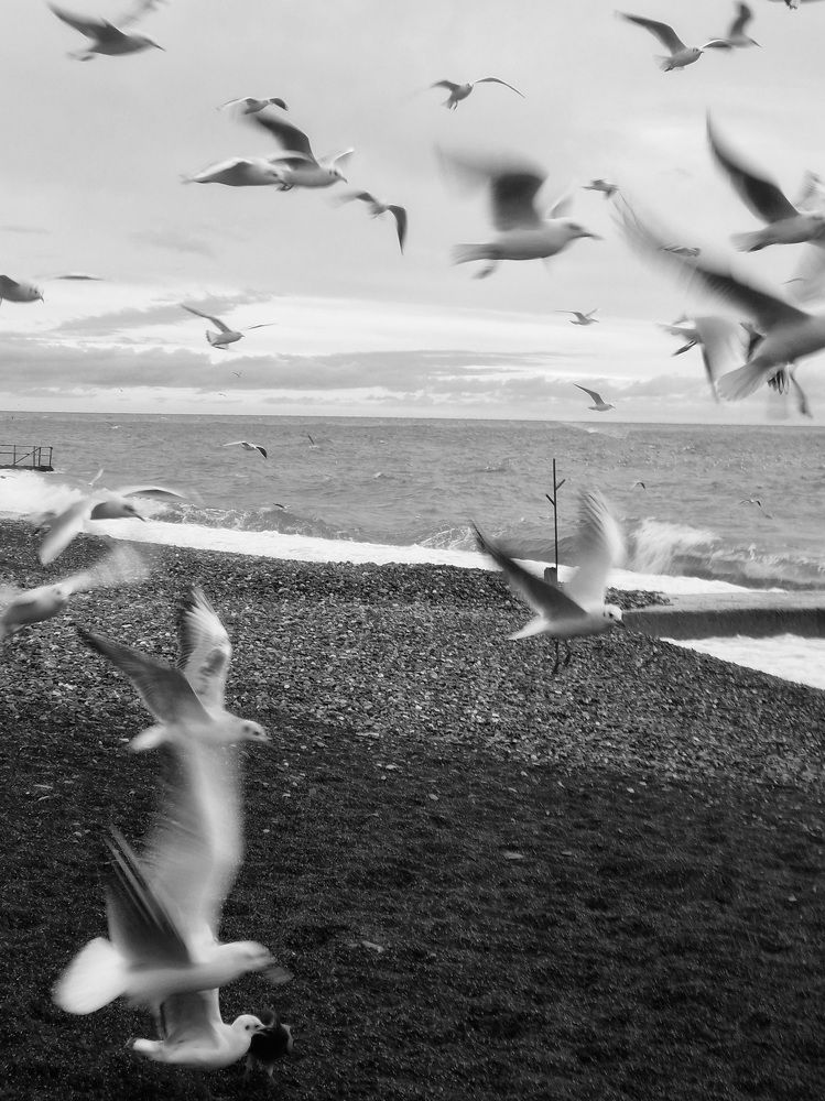 Photograph by Анна