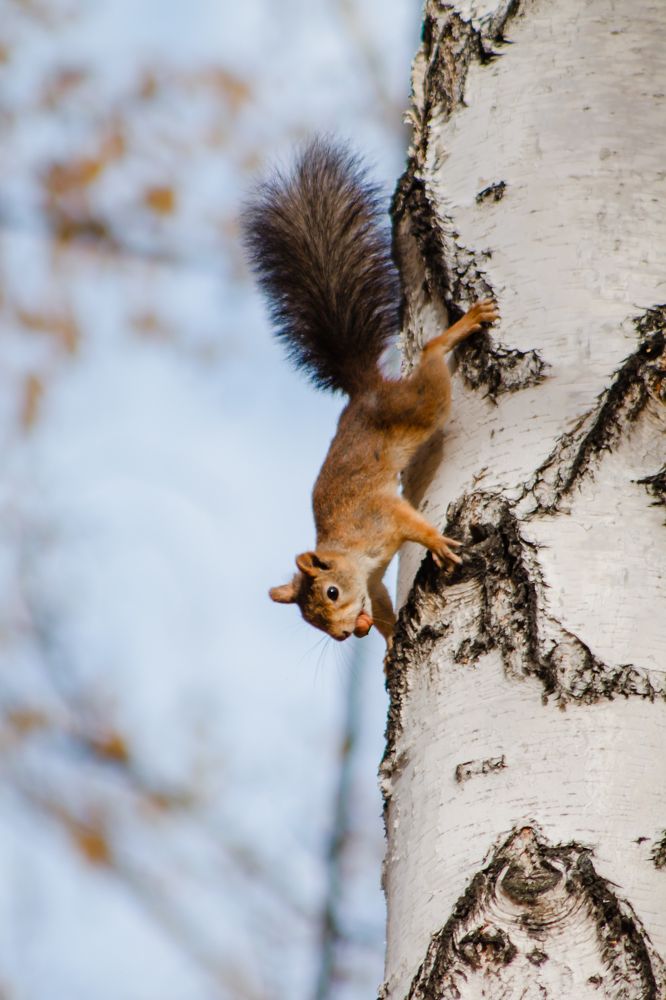 Photograph by Юлия Ташлыцкая