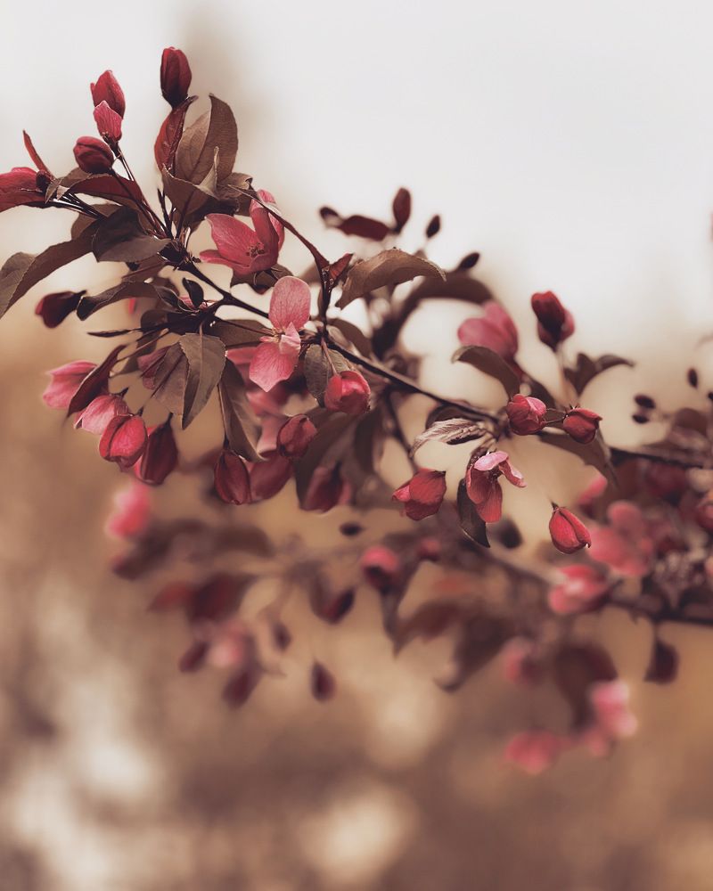 Photograph by Татьяна Волохова