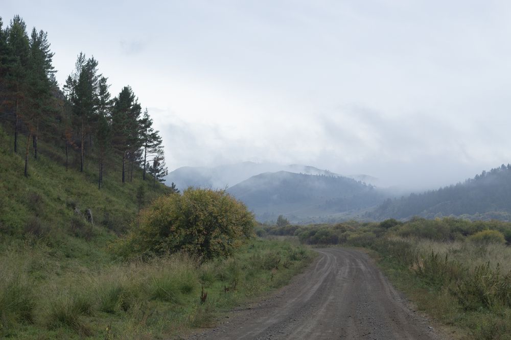 Photograph by Светлана Максимова