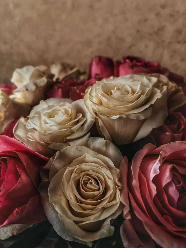 Photograph by Екатерина Васильева