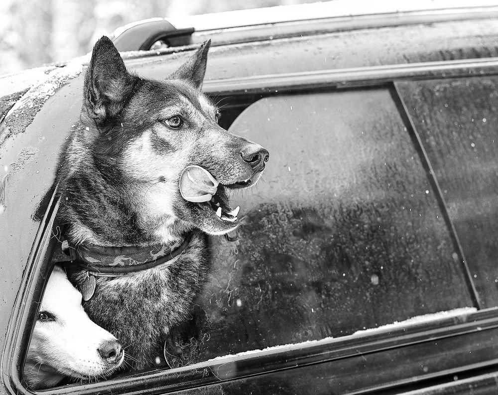 Photograph by Елена Одынец