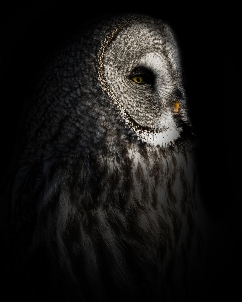 Фотография автора Гильманов Артур