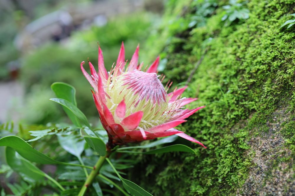 Фотография автора Irina Hrynashkevich