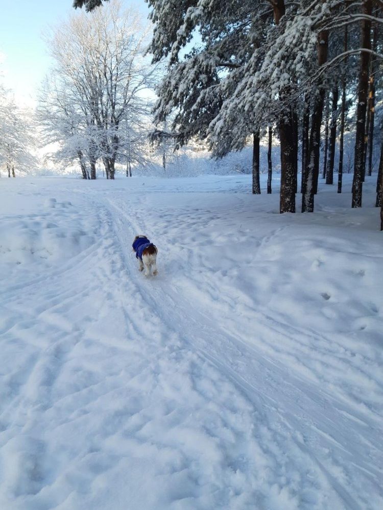 Фотография автора Наталья Шендяпина