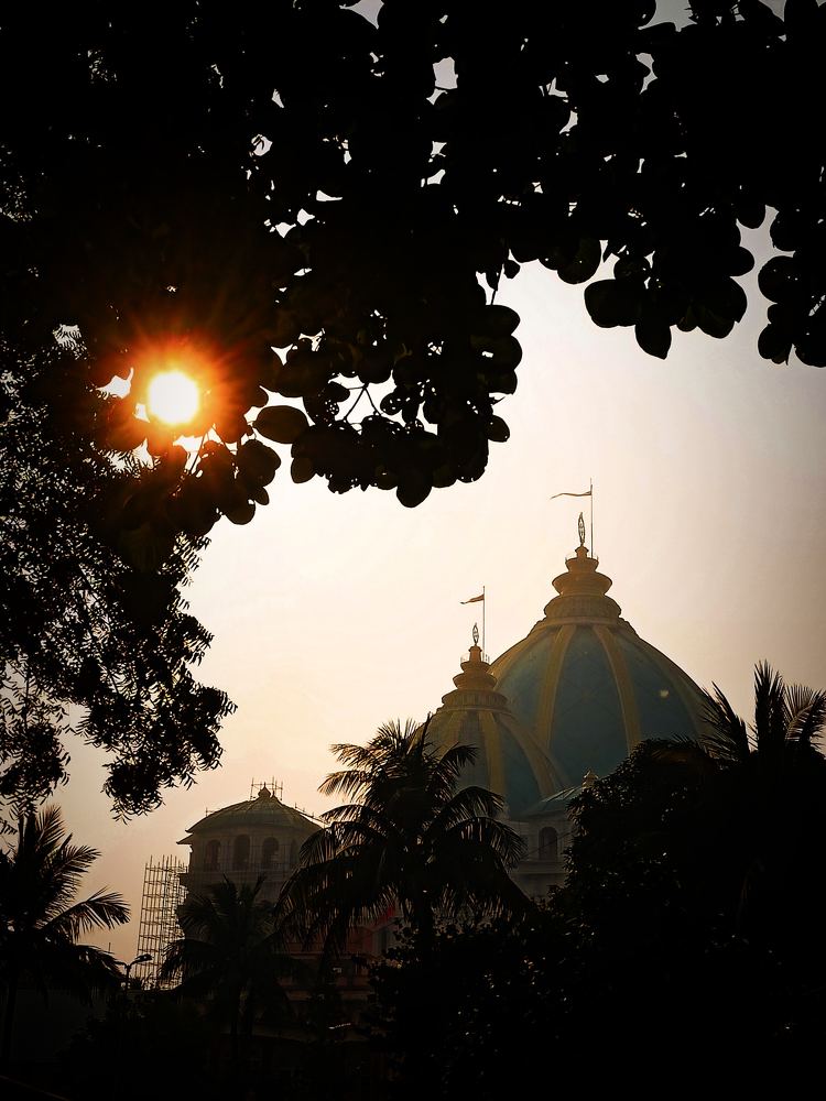 Photograph by Tanusha Srivastava