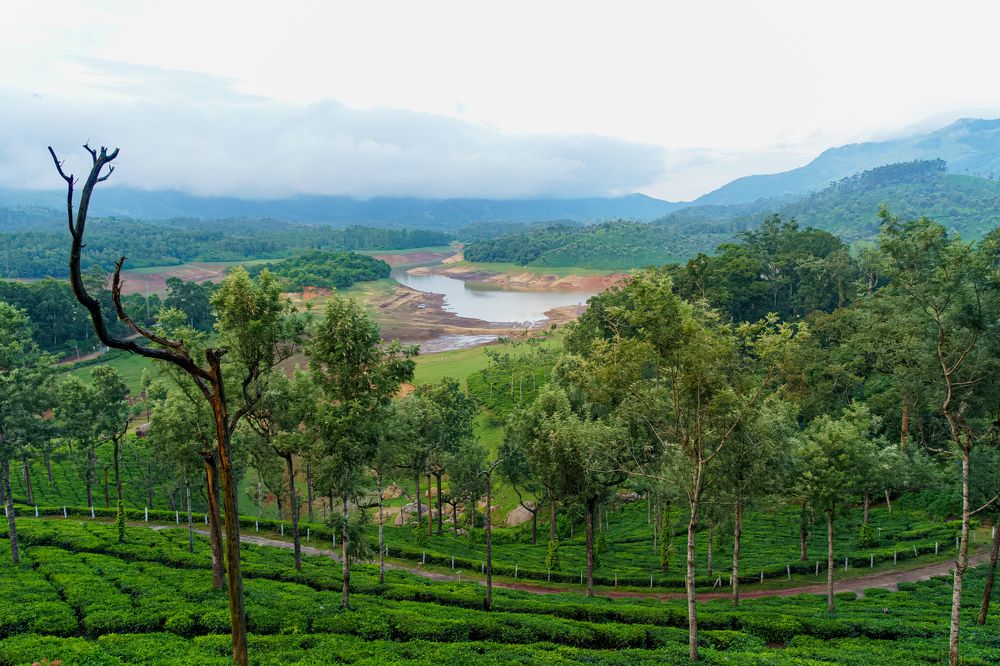 Photograph by Mutasim AL-Bulushi