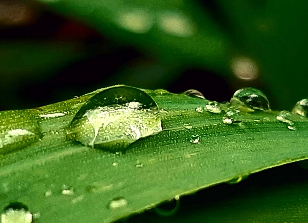 Photograph by Olga Александрова