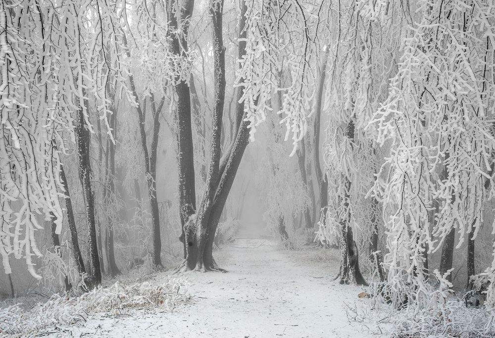 Photograph by Хасан Журтов